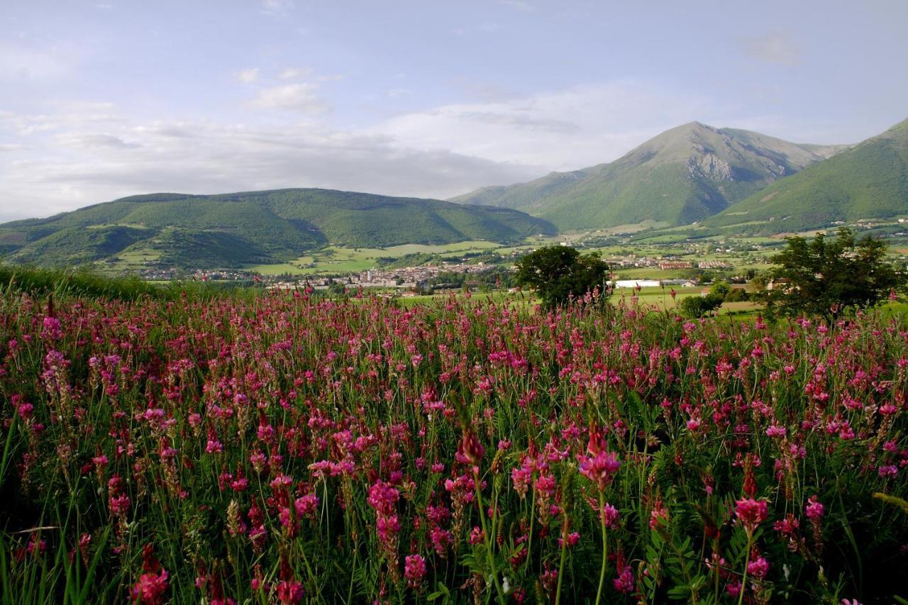 Agriturismo La Cascina Di Opaco ノルチャ エクステリア 写真