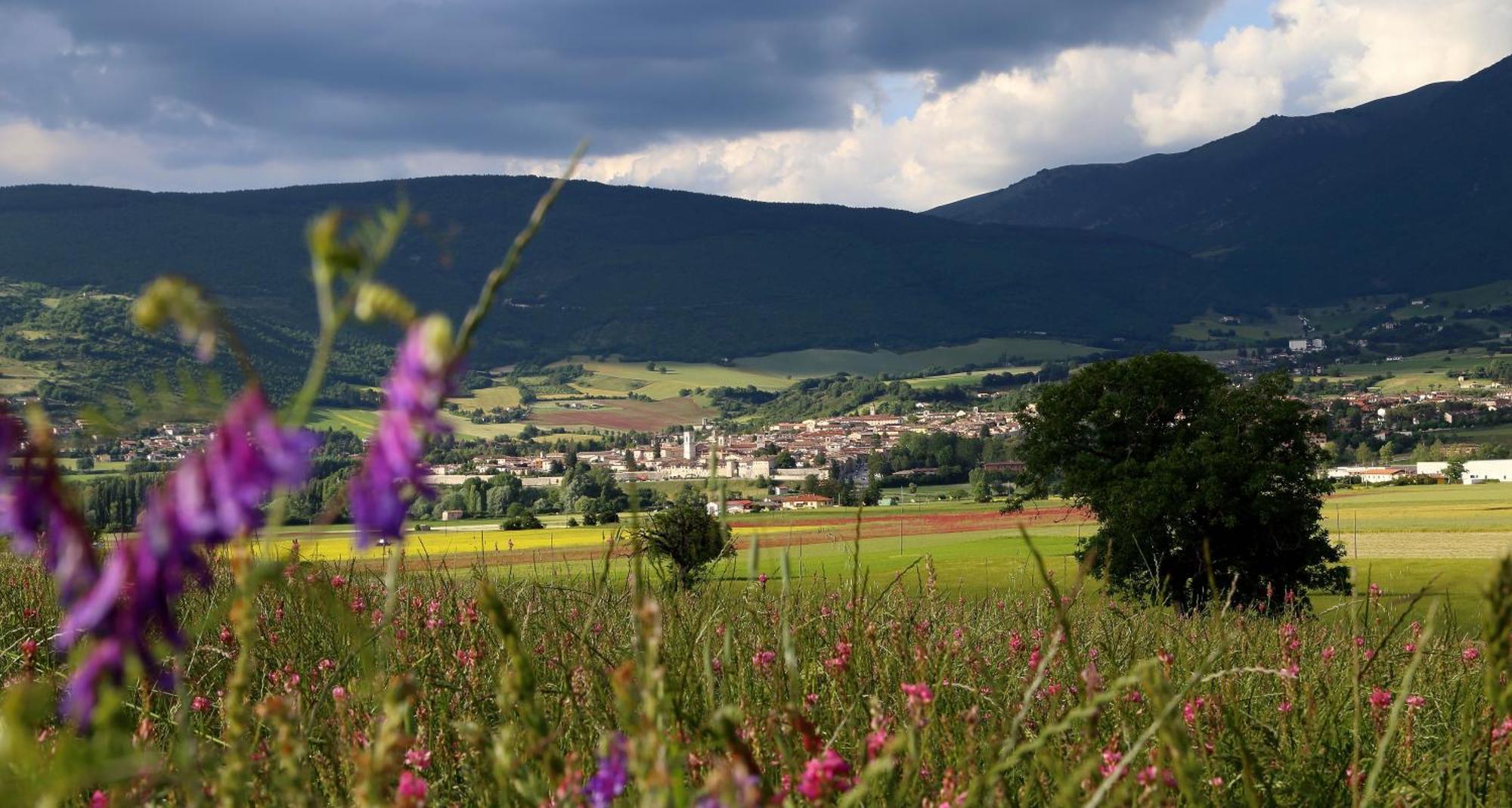 Agriturismo La Cascina Di Opaco ノルチャ エクステリア 写真