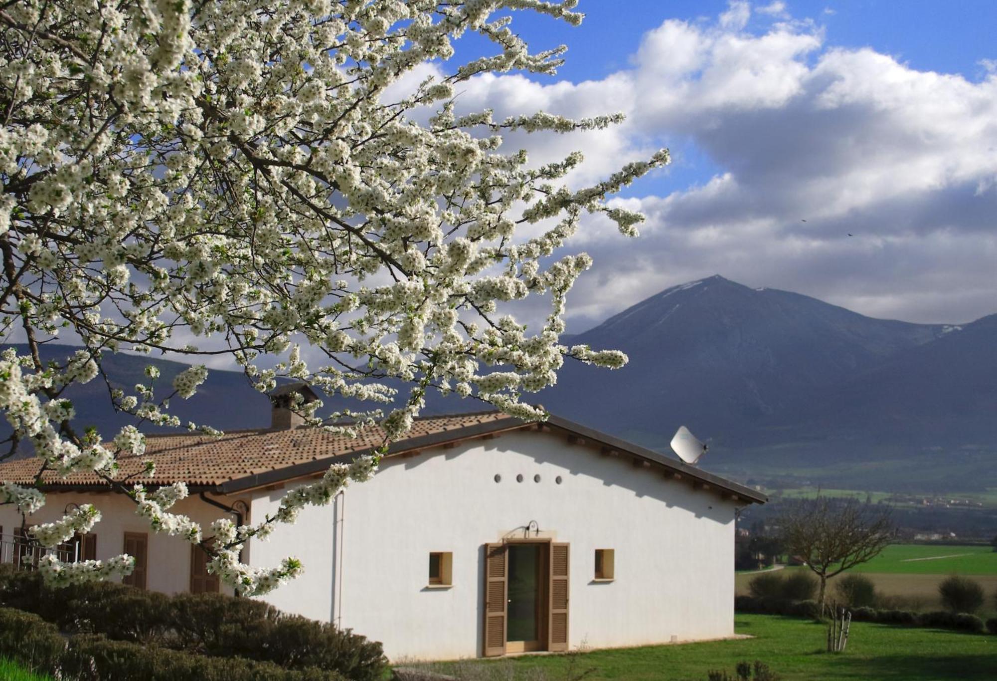 Agriturismo La Cascina Di Opaco ノルチャ エクステリア 写真