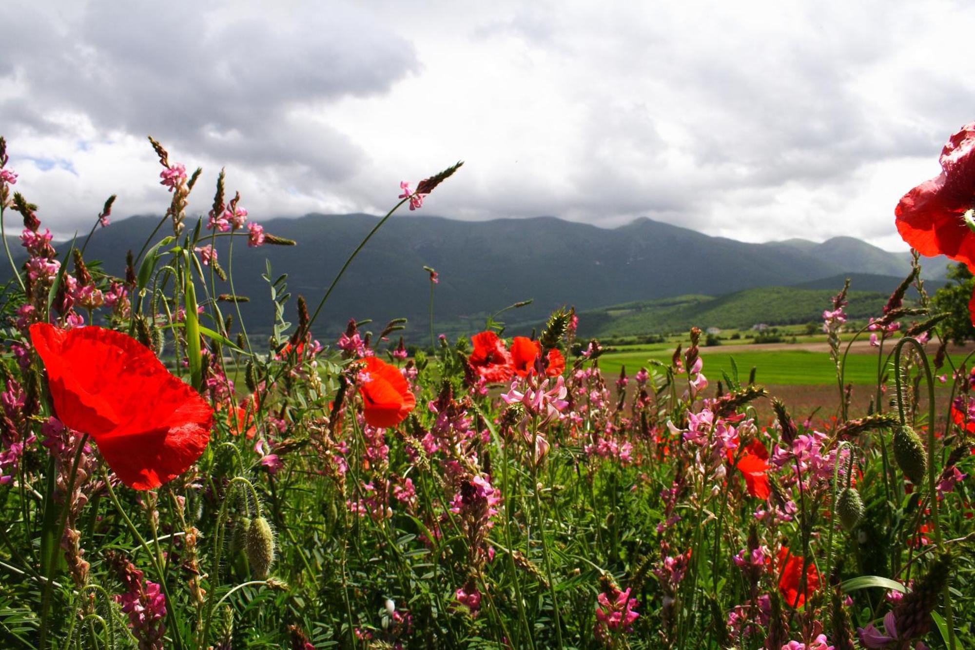 Agriturismo La Cascina Di Opaco ノルチャ エクステリア 写真