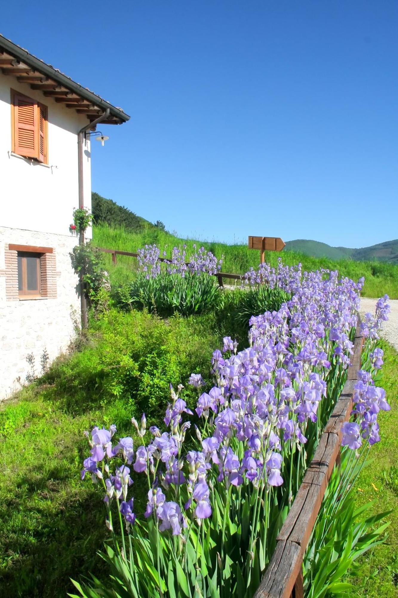 Agriturismo La Cascina Di Opaco ノルチャ エクステリア 写真